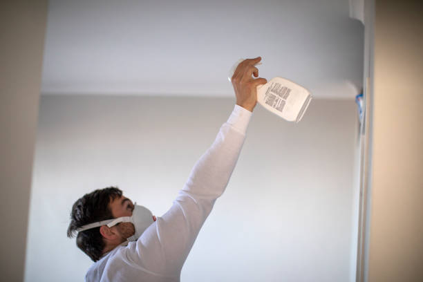 Best Mold Remediation  in Willoughby, OH